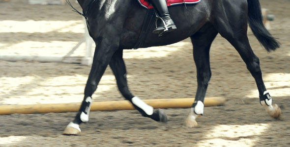 Posting While Trotting alt