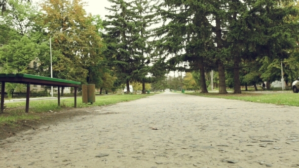 Brother And Sister Walk