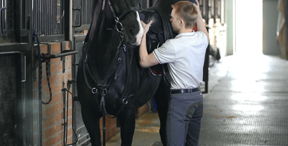 Offsaddling the Horse