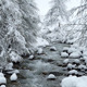 River in Snow - VideoHive Item for Sale
