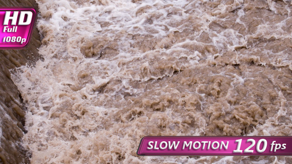 Natural Disaster alt