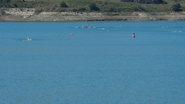 Swimmers Swimming in a Triathlon in a Lake alt