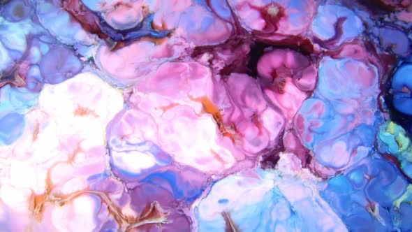 Liquid Colorful Paint Pattens Mix In Slow Motion 5