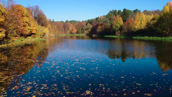 Colorful Autumn Forest Wood on the Lake