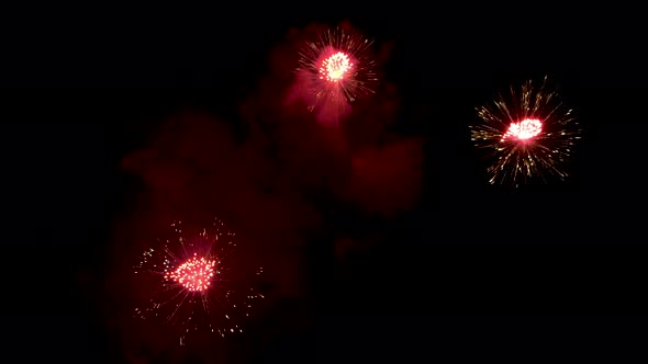 Many flashing colourful fireworks in event amazing with black background.