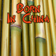 Born In China