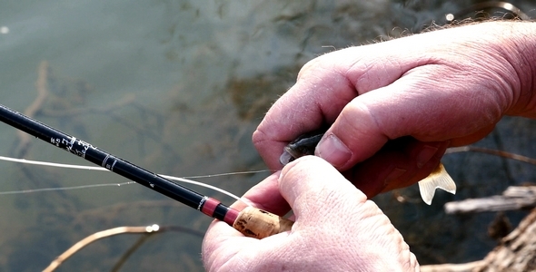 Fishing Fly and Drawstring 5