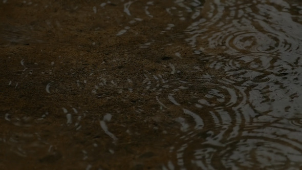 Rain Water Drop