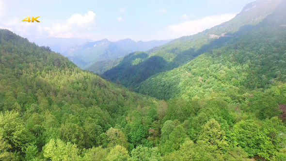 Aerial Flying Over Above Forest in the Valley 1