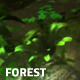 Forest - VideoHive Item for Sale