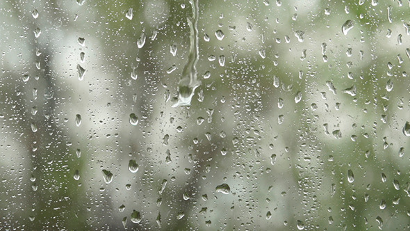 Rain Drops Falling on the Window