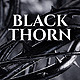 Black Thorn - Movie Title Sequence - VideoHive Item for Sale