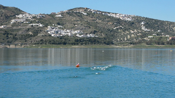 Swimmers Swimming in a Triathlon in a Swamp