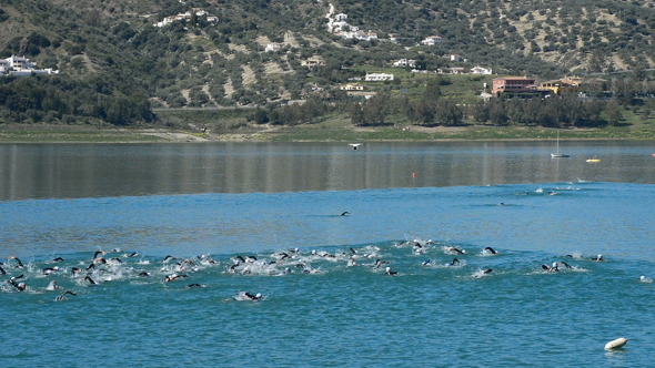 Swimmers Swimming in a Triathlon