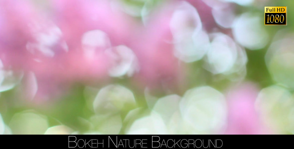 Bokeh Nature Background