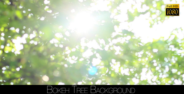 Bokeh Tree Background 20