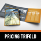 Business Trifold Brochure - GraphicRiver Item for Sale