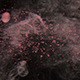 Pink Particles Flow 3 - VideoHive Item for Sale