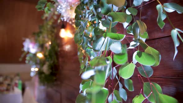 Wedding Inscription with Flowers. Beautiful Scenery with Light Bulbs and Wooden Arch.