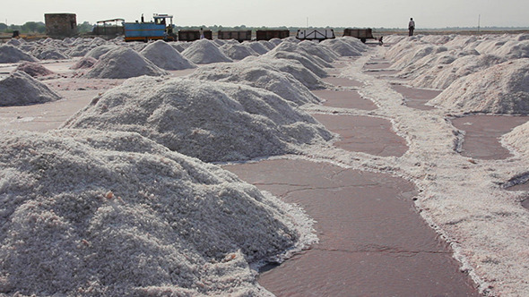 Salt Mining On Sambhar Lake In India