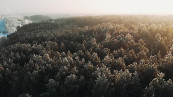 Snowy Winter Forest During Sunset Sun, Aerial Shot. Drone Footage Flight Over Winter Nature