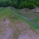Aerial running steinbocks - VideoHive Item for Sale