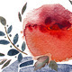 Watercolor bouquet flowers - GraphicRiver Item for Sale