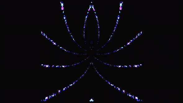 animated spider outline shape of glowing neon lines, on black background