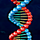 DNA Double Helix - VideoHive Item for Sale
