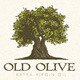 Olive Tree Organic Oil Nature Eco Logo Concept - GraphicRiver Item for Sale