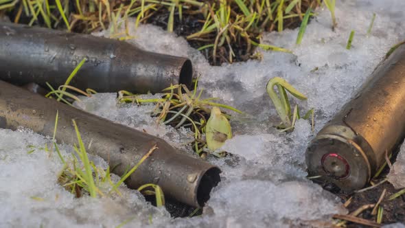 Macro Timelapse Shot of Shiny Melting Snow Particles and Unveiling Green Grass and Machine Gun Ammo