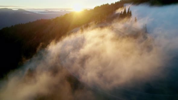 Hurricane Ridge in Olympic National Park Washington United States