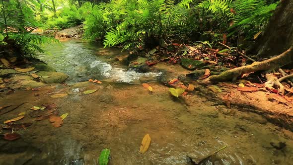 Wonderful Waterfall in Forest