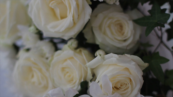 The Bride Holding Wedding Bouquet Of White  Roses