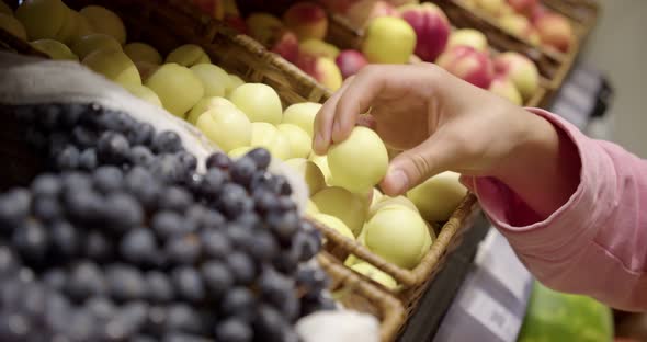 Closeup of the Hands of a Young Woman Choosing Fresh Fruits and Nectarines in a Grocery Store