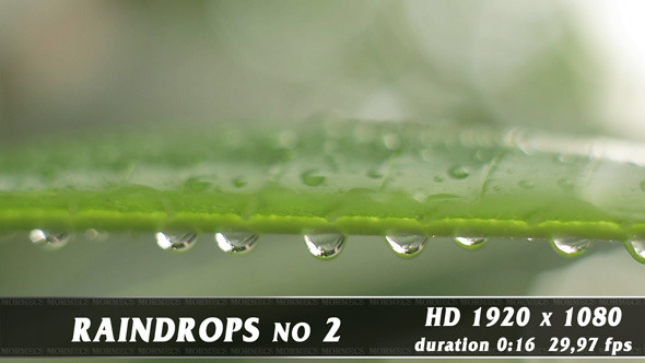 Raindrops No.2