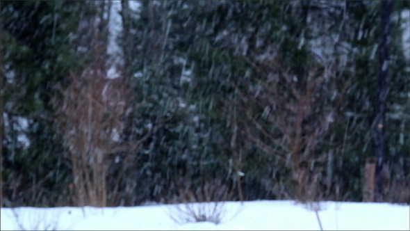 Heavy Rain of Snow is Falling from the Sky alt