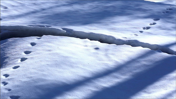 An Area Covered with Thick Snow  alt