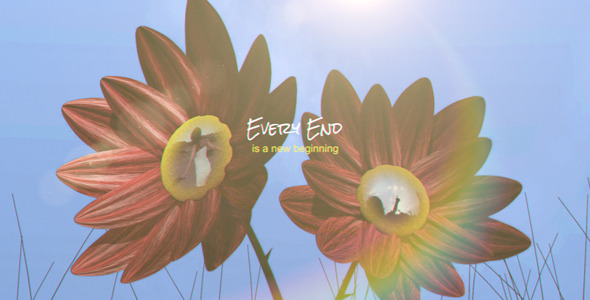 Romantic Photo Gallery - Blooming Flowers alt