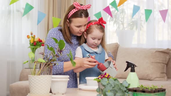 a Mother and Daughter Pour the Ground Into a Pot for Transplanting Houseplants