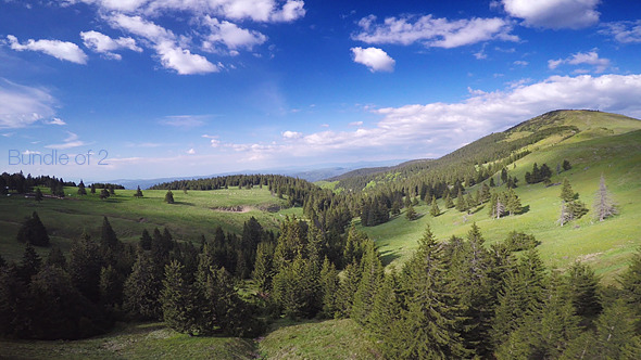 Fresh Green Forest Aerials