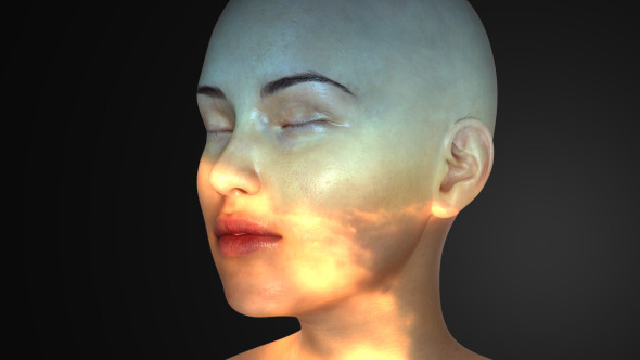 Facial Projections alt