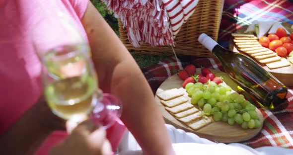 Senior couple drinking wine