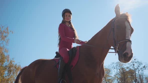 Portrait of a Cute Caucasian Female Equestrian in Pink Clothes and Horse Riding Helmet Sitting in