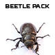 Beetle Pack - VideoHive Item for Sale