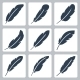 Vector Feather Icons Set - GraphicRiver Item for Sale