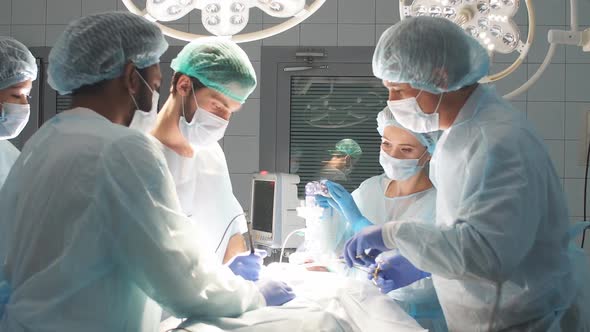 Group of Practicing Surgeons and Medical Practitioner Observe the Skillful Actions 