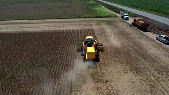 An industrial combine harvester collecting soybean crops from farmland deforested in the Brazilian s