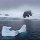 WS Iceberg and snow covered coast of Cuverville Island on cloudy day / Antarctica - VideoHive Item for Sale