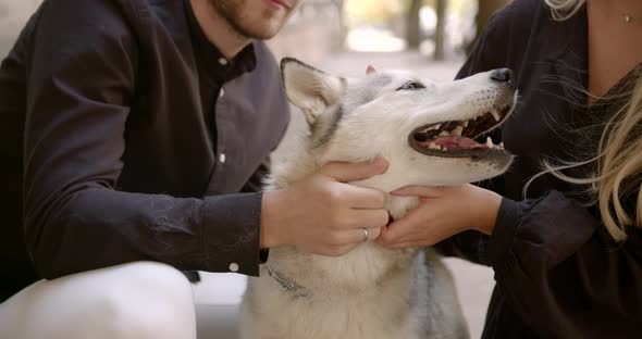 Couple Hugging a Dog at the Autumn City